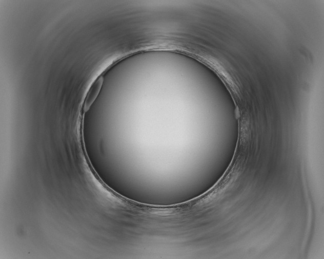 X0000111491484200907141053