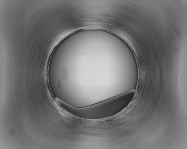 X0000111491485200907141053