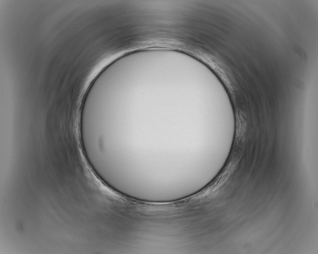 X0000111491486200907141053