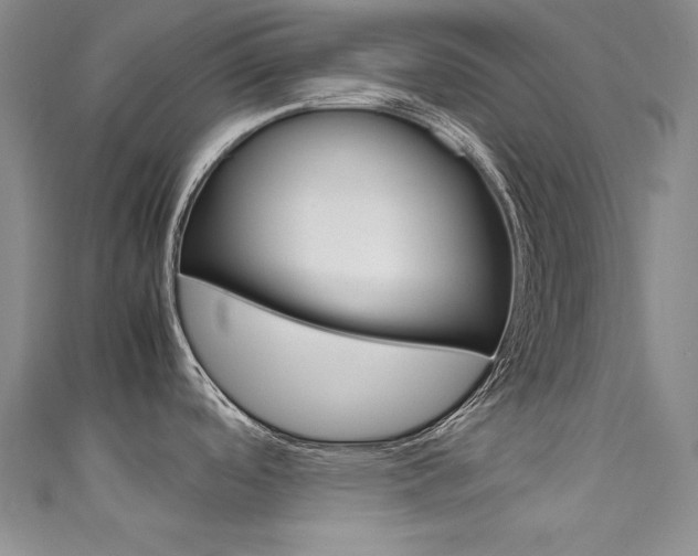 X0000111491488200907141053