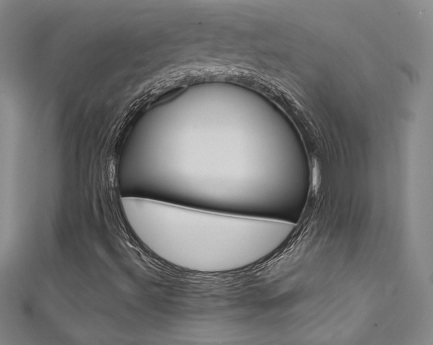 X0000111491492200907141052