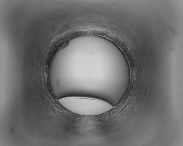 X0000111491493200907141052