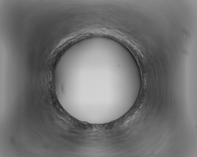 X0000111491494200907141052