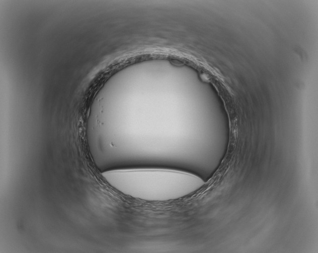 X0000111491495200907141052