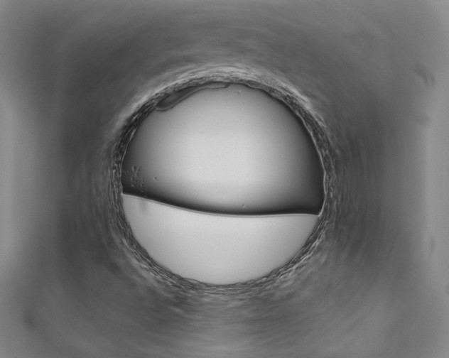 X0000111491496200907141052
