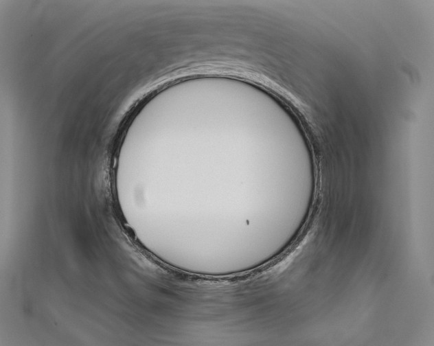 X0000111491498200907141053