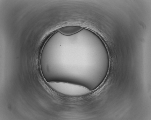 X0000111491499200907141053