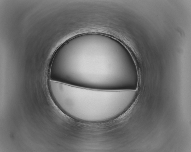 X0000111491500200907141053