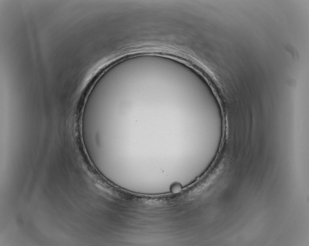 X0000111491501200907141053
