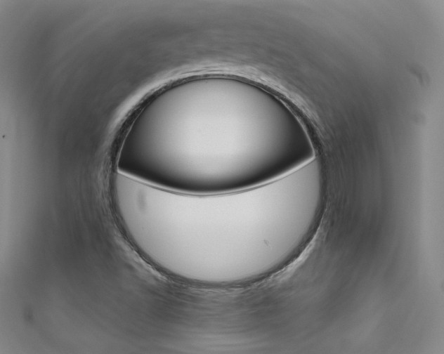 X0000111491502200907141053