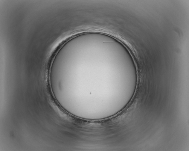 X0000111491503200907141053