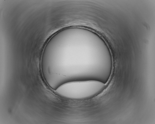 X0000111491505200907141053