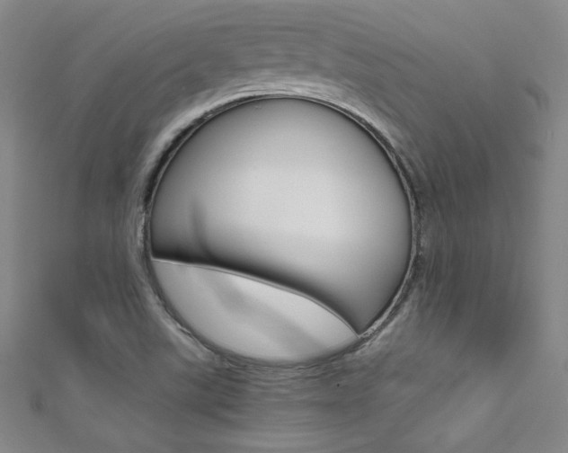 X0000111491507200907141053