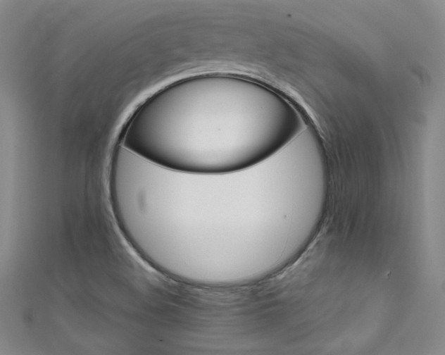 X0000111491508200907141053