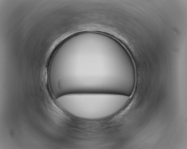 X0000111491509200907141053