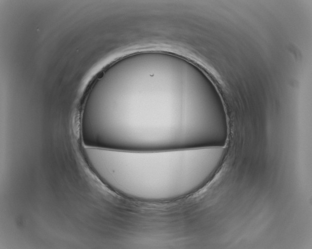 X0000111491510200907141053