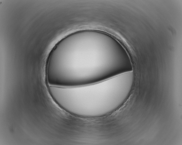 X0000111491512200907141053