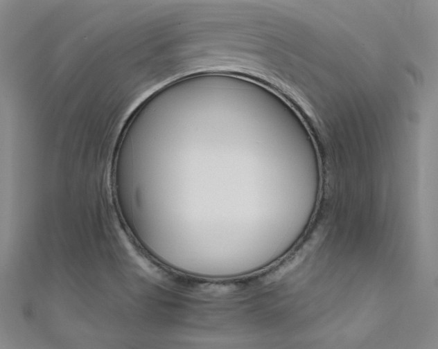 X0000111491513200907141053