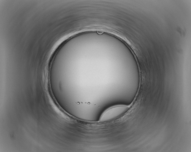 X0000111491515200907141053