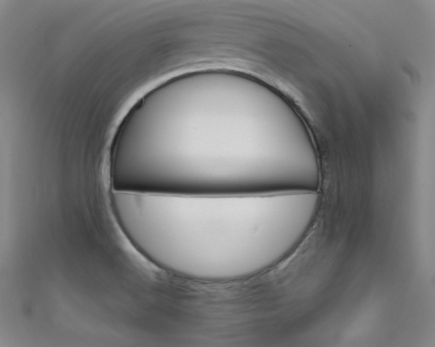 X0000111491516200907141053