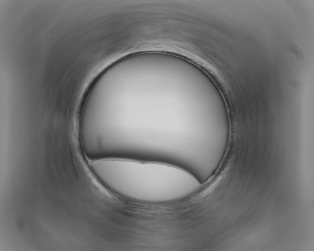 X0000111491517200907141053