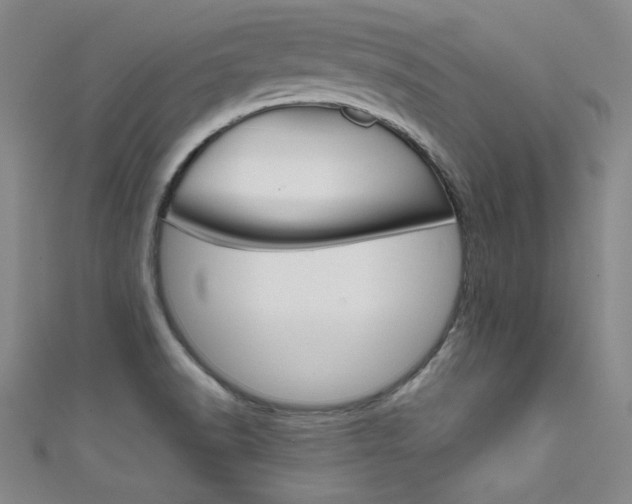 X0000111491518200907141053