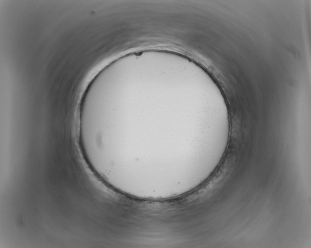 X0000111491520200907141053