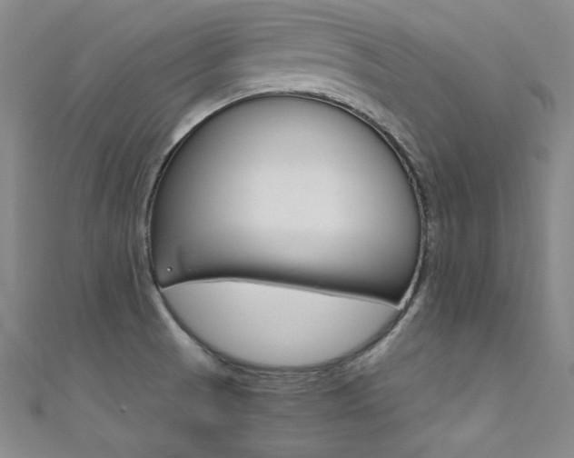 X0000111491521200907141053
