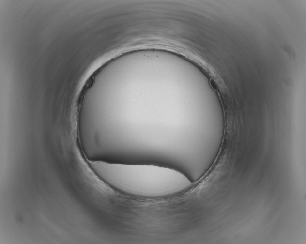 X0000111491522200907141053