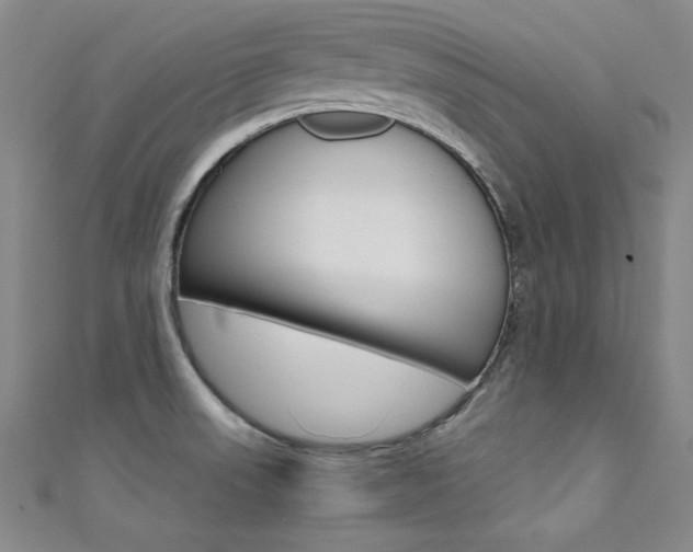 X0000111491523200907141053