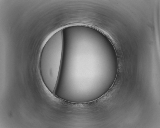 X0000111491524200907141053