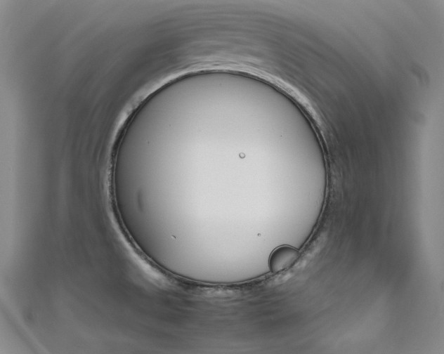 X0000111491525200907141053