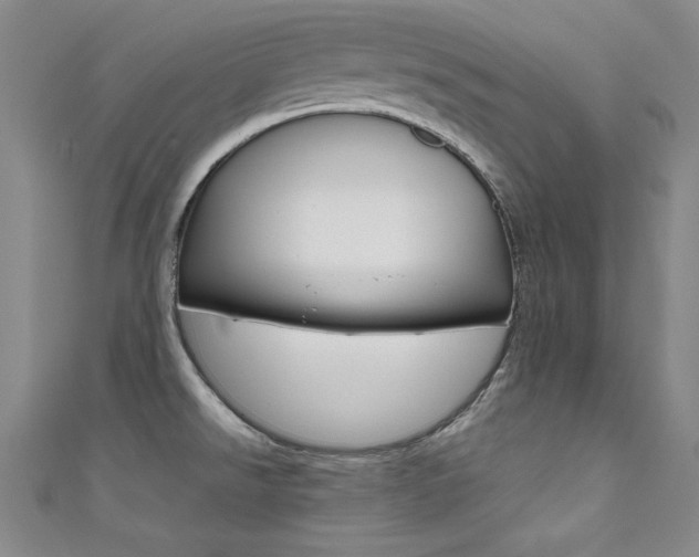 X0000111491526200907141053
