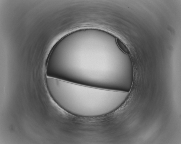 X0000111491527200907141053