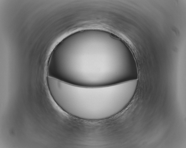 X0000111491528200907141053