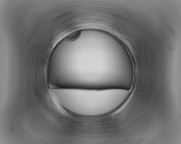 X0000111491529200907141053