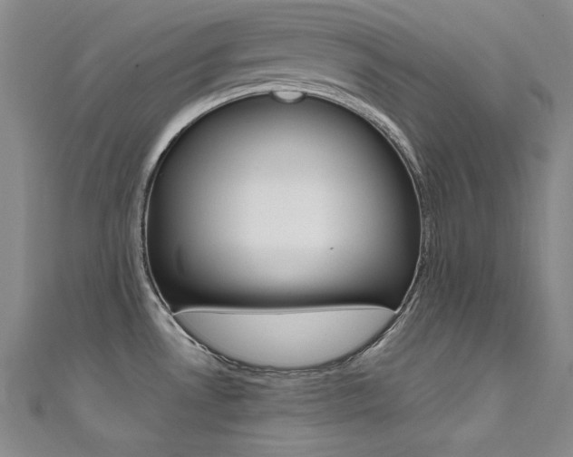 X0000111491530200907141053