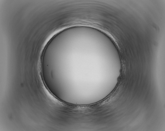 X0000111491531200907141053