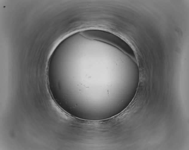 X0000111491532200907141053