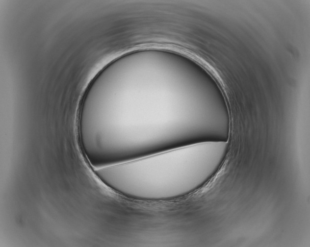 X0000111491533200907141053
