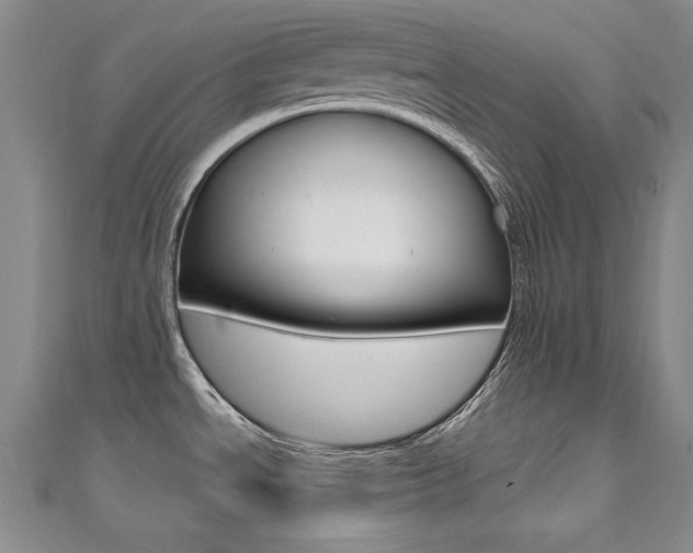 X0000111491534200907141053