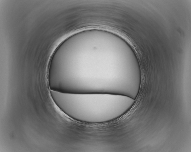 X0000111491535200907141053