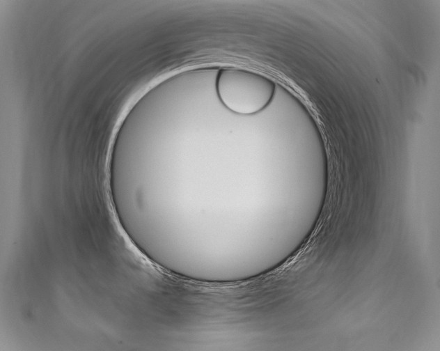 X0000111491536200907141053