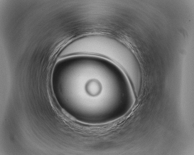 X0000111490001200907141248