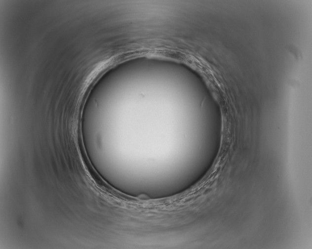 X0000111490003200907141248