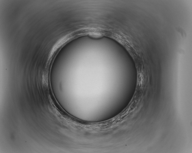 X0000111490004200907141248