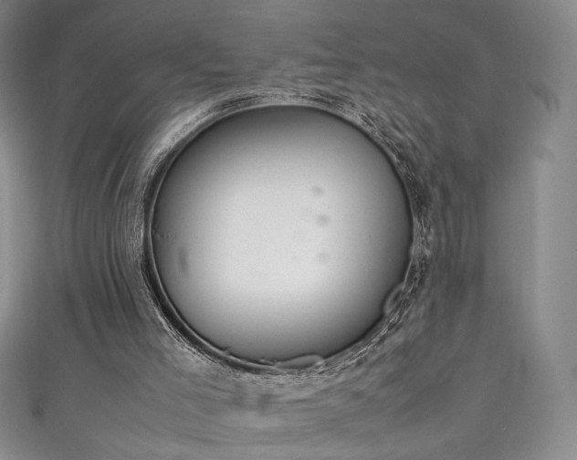 X0000111490005200907141248