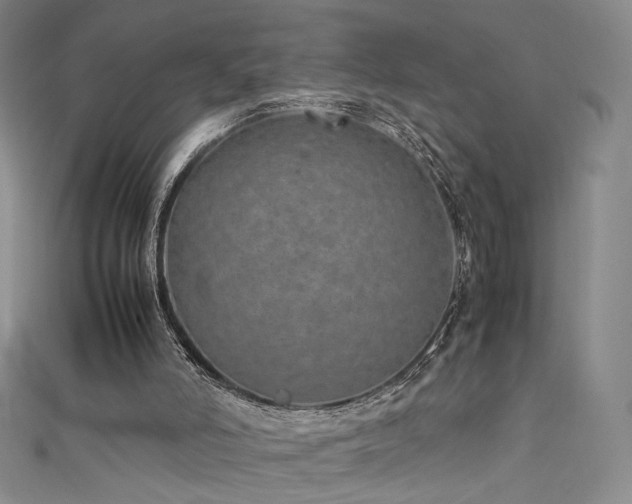 X0000111490006200907141248