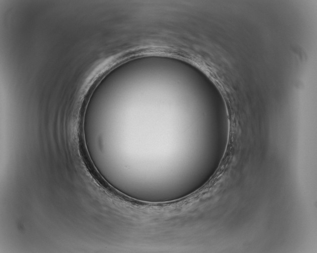 X0000111490007200907141248