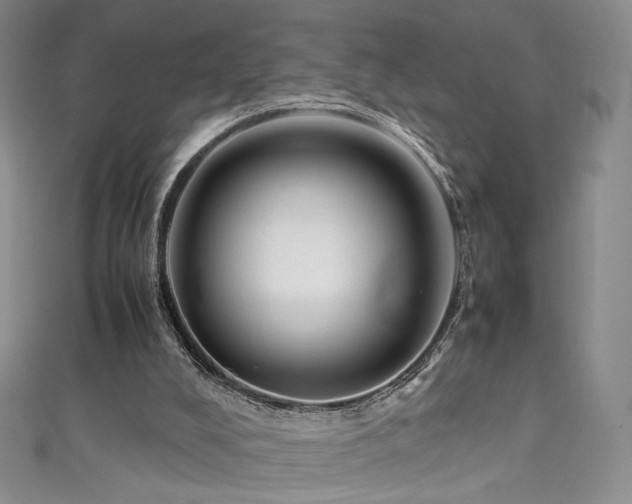 X0000111490008200907141248